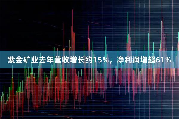 紫金矿业去年营收增长约15%，净利润增超61%