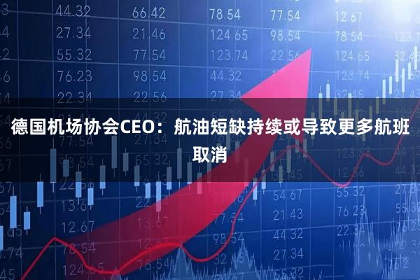 德国机场协会CEO:航油短缺持续或导致更多航班取消