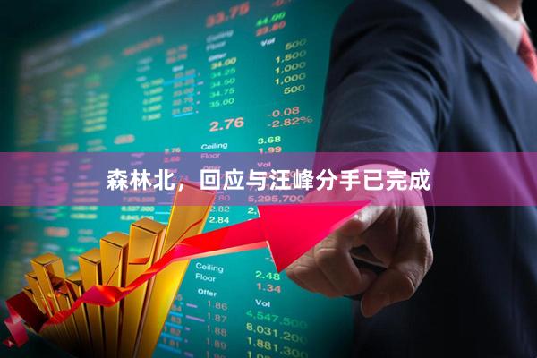 森林北，回应与汪峰分手已完成